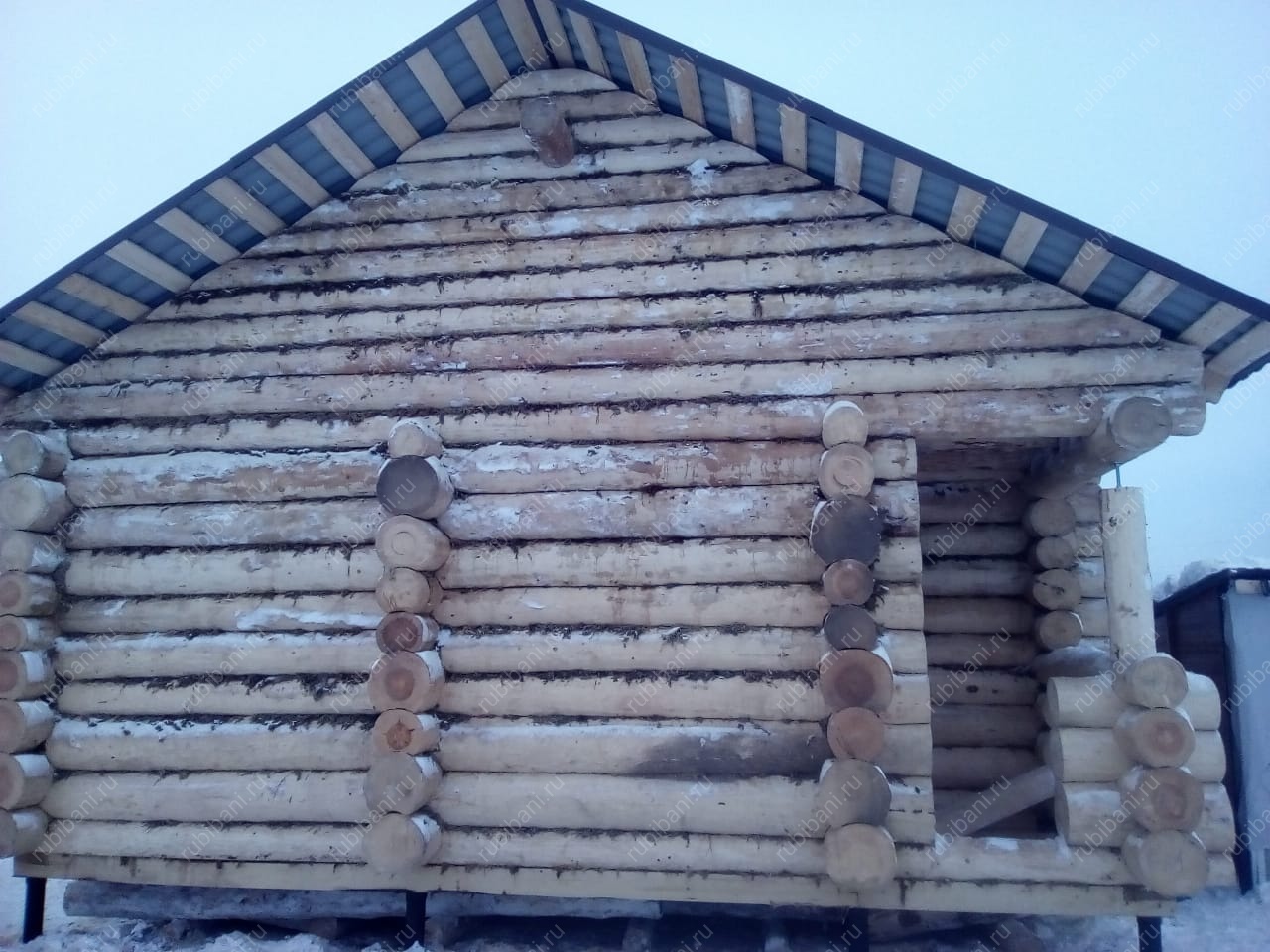 Баня под усадку, сруб в чашу — фото 17 Баня под усадку, сруб в чашу — фото 17