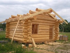 Дом 4×4 м в чашу, 16 м²